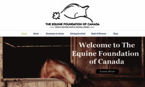 Equinefoundationofcanada.com thumbnail