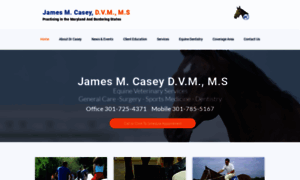 Equinehorsevet.com thumbnail