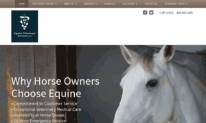 Equinevetaz.com thumbnail