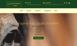 Equineveterinarycentre.co.uk thumbnail