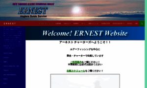 Ernesty.net thumbnail