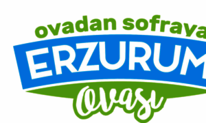 Erzurumovasi.com thumbnail