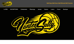 Escsf-nantes-basket.com thumbnail