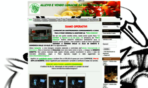 Eshop.chiocciolatecnologica-store.net thumbnail