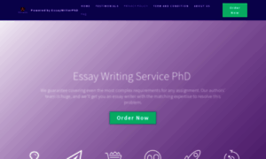 Essaywritingservicephd.com thumbnail