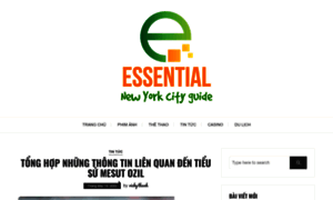 Essential-new-york-city-guide.com thumbnail