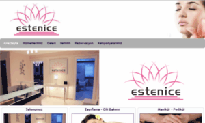 Estenice.com thumbnail