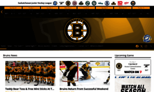 Estevanbruins.com thumbnail