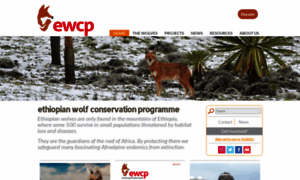 Ethiopianwolf.org thumbnail