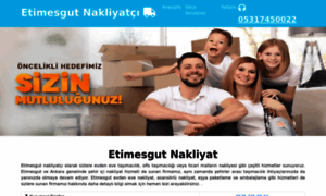 Etimesgutnakliyatci.com.tr thumbnail