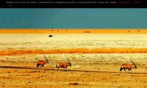 Etosha.it thumbnail