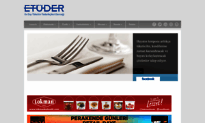 Etuder.org.tr thumbnail