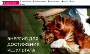Eukanuba.ru thumbnail