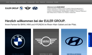 Euler-group.de thumbnail