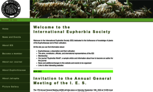 Euphorbia-international.org thumbnail