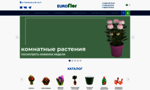 Euroflor.ru thumbnail