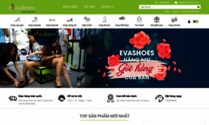 Evashoes.vn thumbnail