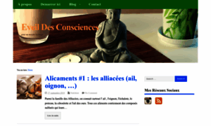 Eveildesconsciences.fr thumbnail