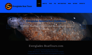 Everglades-boattours.com thumbnail