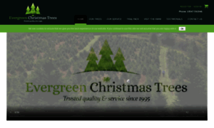 Evergreen-christmastrees.co.uk thumbnail