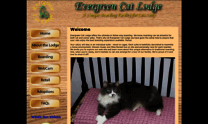 Evergreencatlodge.com thumbnail