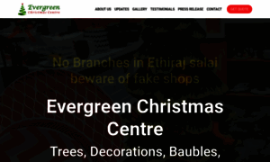 Evergreenchristmascentre.com thumbnail