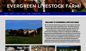 Evergreenlivestockfarm.co.za thumbnail