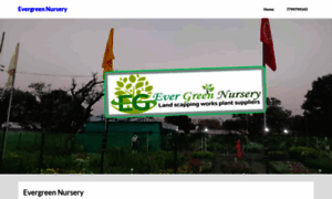 Evergreennursery.co.in thumbnail