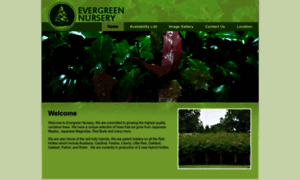 Evergreennursery.net thumbnail