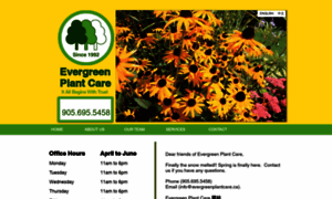 Evergreenplantcare.com thumbnail