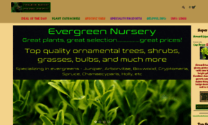 Evergreenplantnursery.com thumbnail
