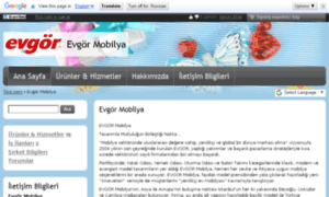 Evgor-mobilya.ticiz.com thumbnail