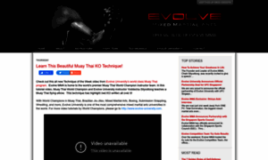 Evolve-mma.blogspot.com thumbnail