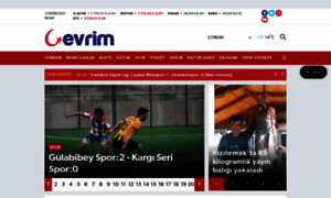 Evrimgazetesi.com thumbnail