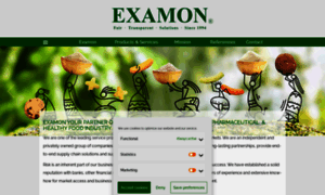 Examongroup.com thumbnail