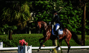 Exceldressage.com thumbnail