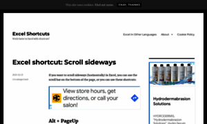 Excelshortcuts.info thumbnail