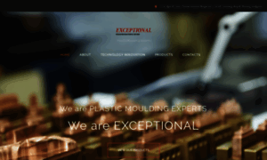 Exceptional.com.my thumbnail