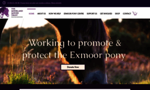 Exmoorponycentre.org.uk thumbnail