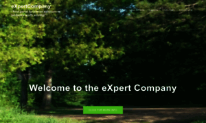 Expertcompany.us thumbnail