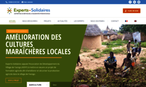 Experts-solidaires.org thumbnail