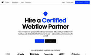 Experts.webflow.com thumbnail