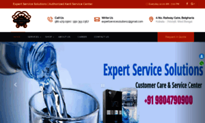 Expertservicesolutions.in thumbnail