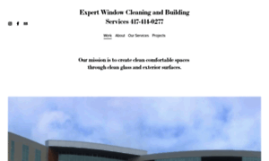 Expertwindowcleaning.net thumbnail