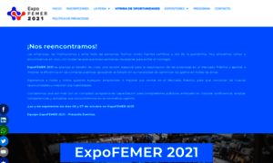 Expofemer.cl thumbnail