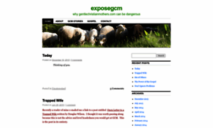 Exposegcm.wordpress.com thumbnail