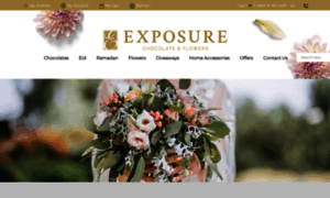 Exposure-events.net thumbnail