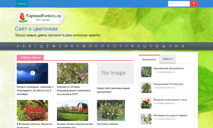 Expressfloristic.ru thumbnail