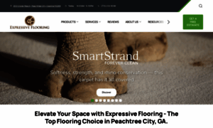 Expressiveflooring.com thumbnail