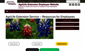 Extensionemployees.tamu.edu thumbnail